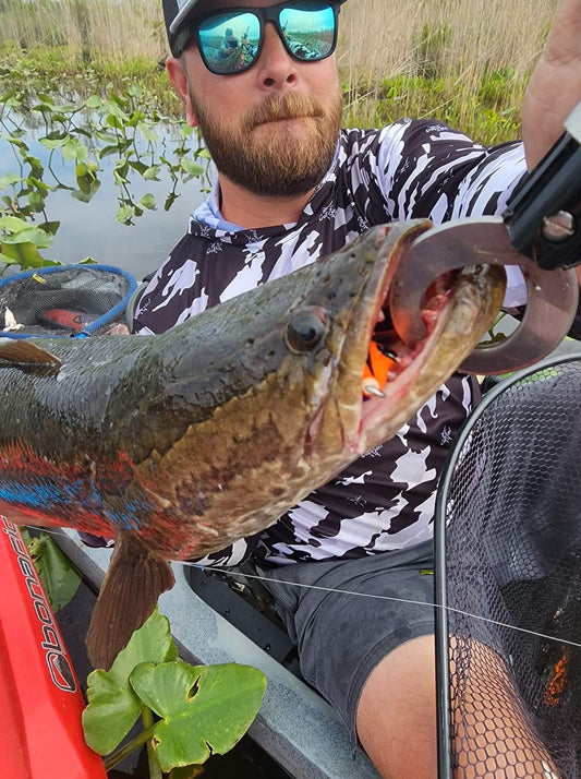 Why the Swamp Walker Outperforms Other Snakehead Frogs