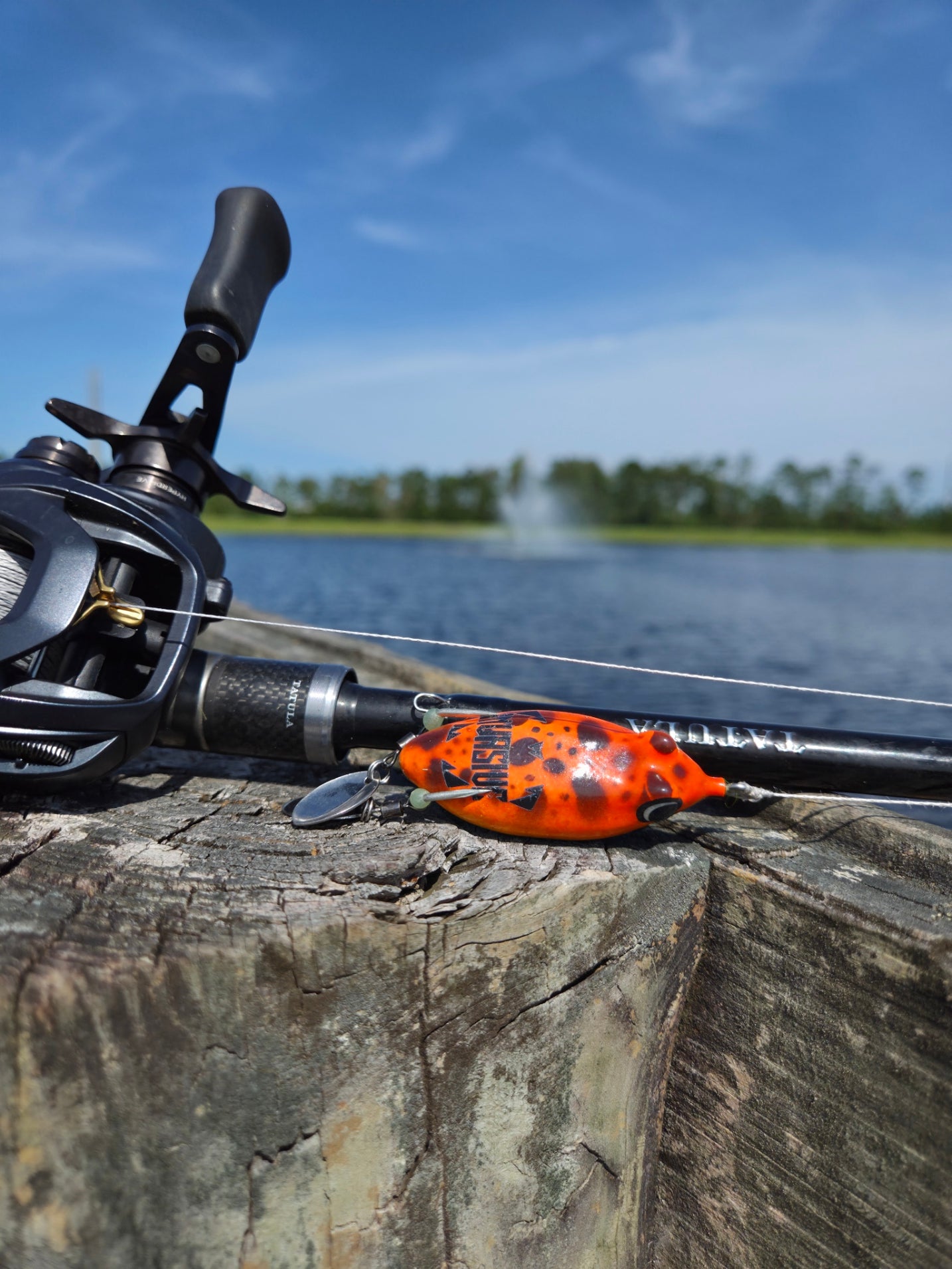 blue frog fishing pole The Chop Topwater Frog Lure while also providing that Lew's Mach Crush Baitcast storage Color:Foil Black