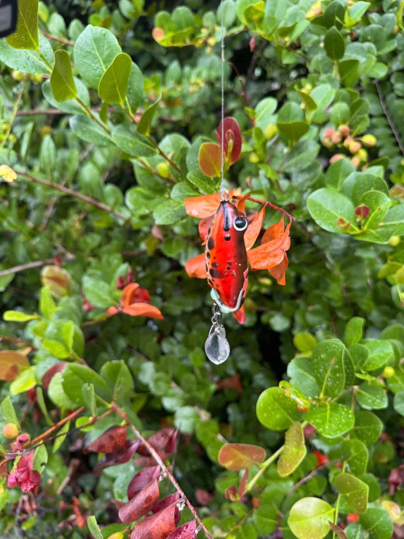 Chop Frog – Invasive Lures